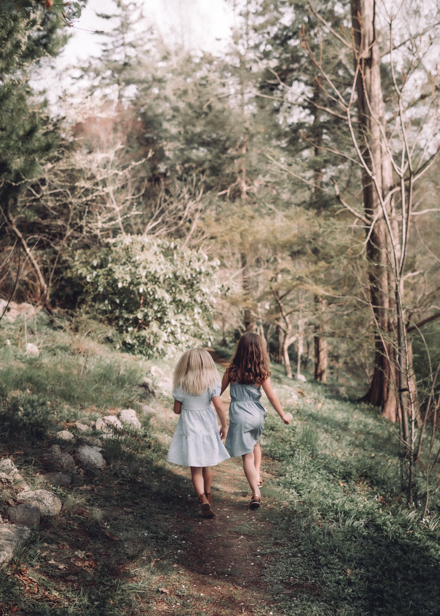 Two children hold hands while walking along a wooded nature path.