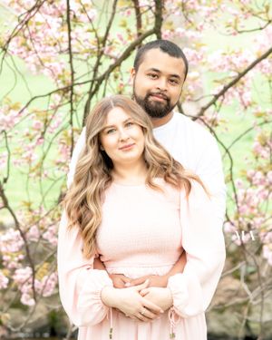 cherry blossom mini session