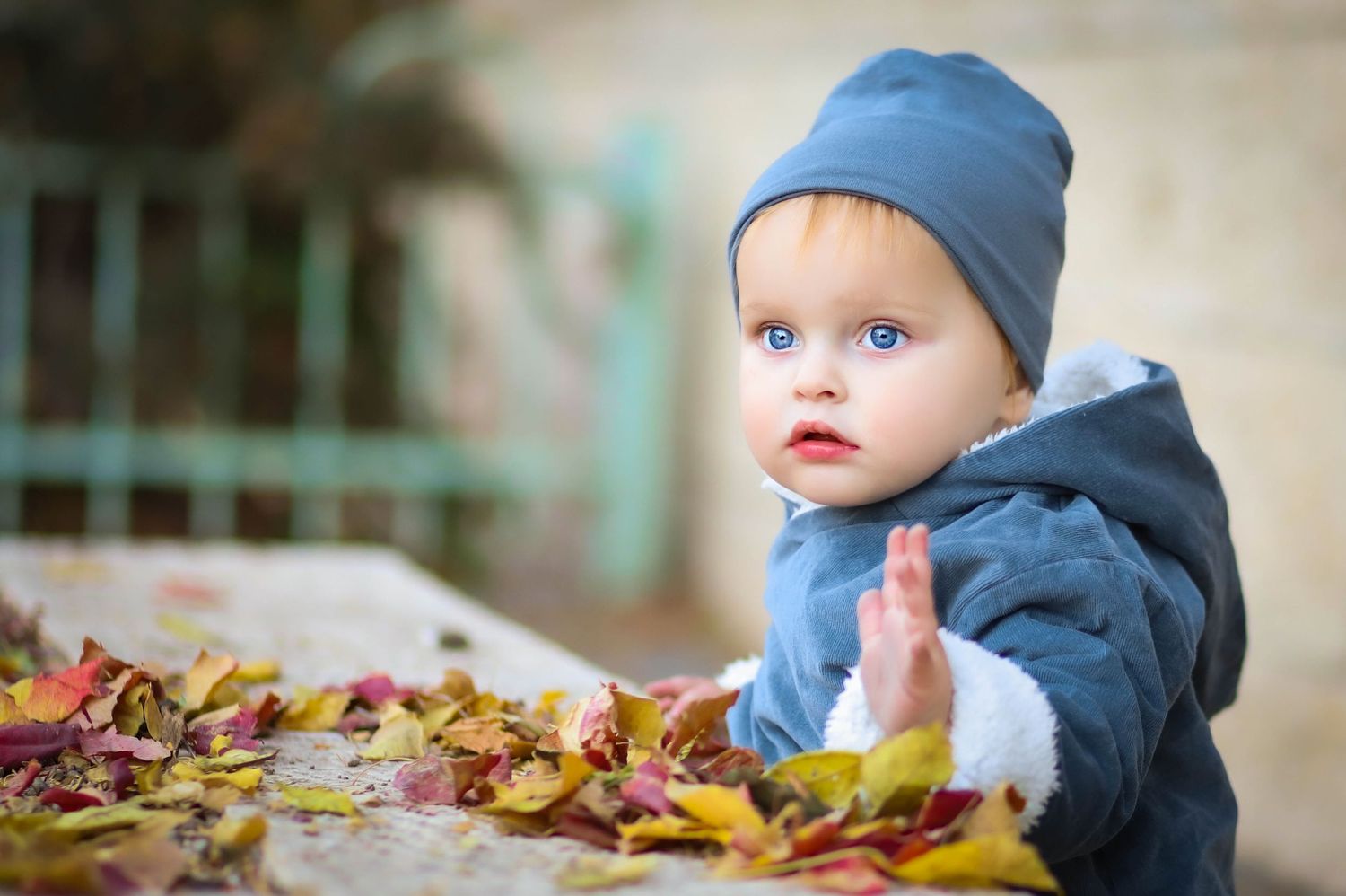 A baby in blue winter clothing explores fallen autumn leaves.