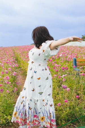 Back view of a person in a butterfly print dress standing in a pink flower field with palm trees.