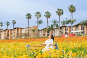 A floral scene with yellow flowers and palm trees against apartment buildings.