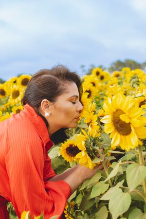 A bright orange dress stands out among blooming sunflowers in a field under blue skies.