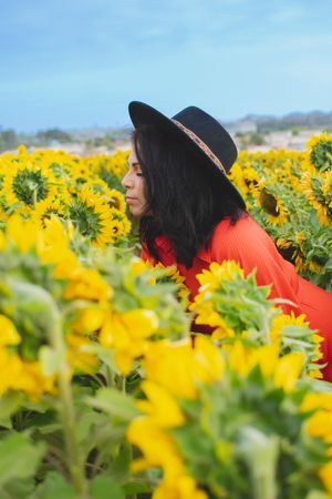 Side profile of person in red dress and black hat among blooming sunflowers.