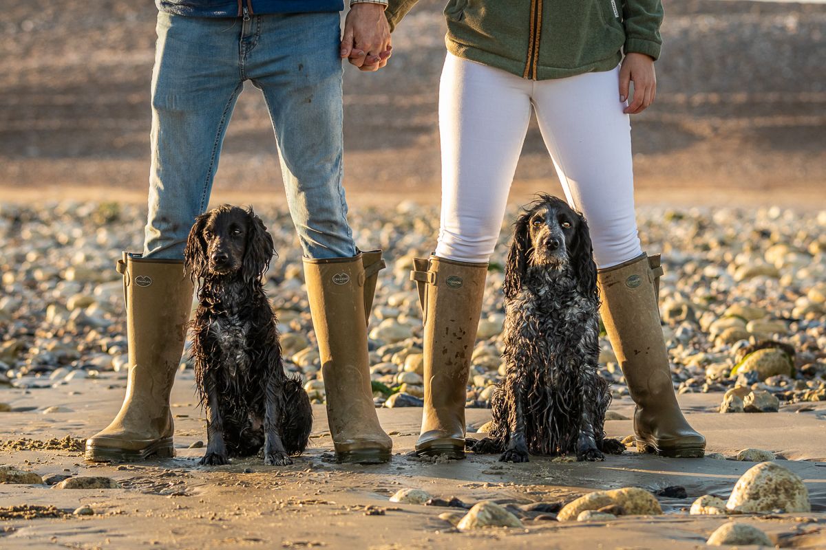 Two cocker spaniels sitting between people wearing rubber boots on a rocky beach.