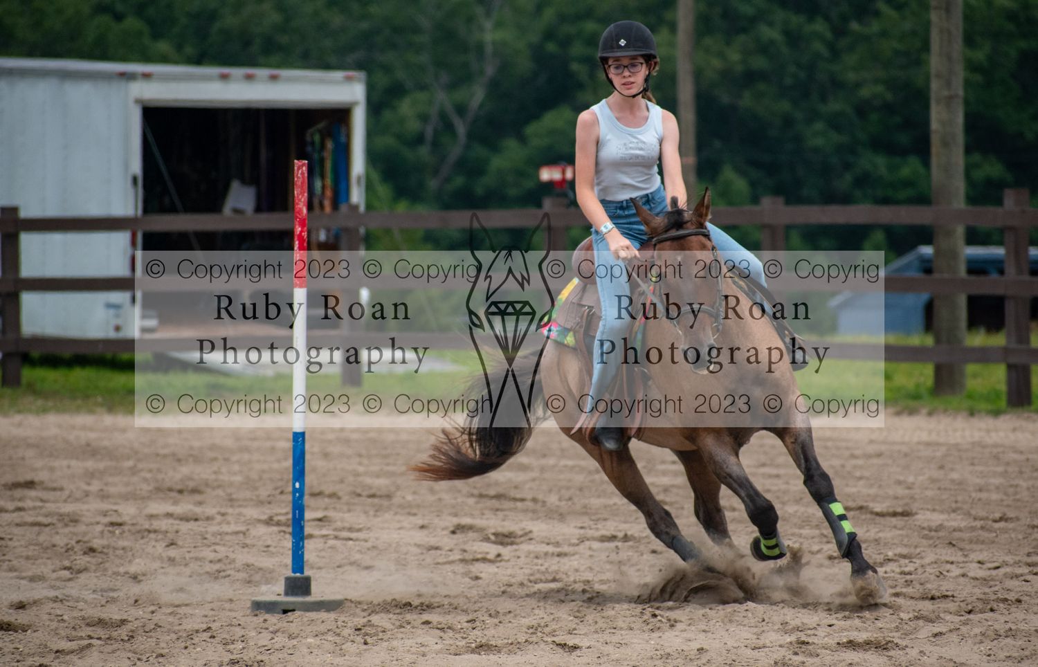 horse running and turning
