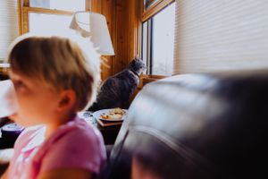 Cozy interior view of a living space with window light streaming in.