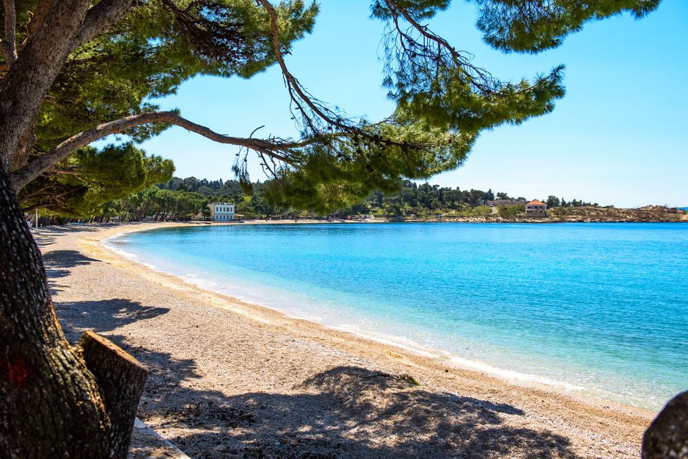 Pristine beach with crystal clear turquoise waters and pine trees along Croatia's coastline.