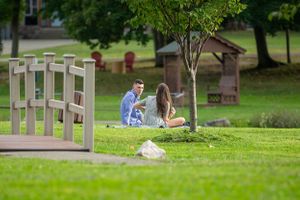 A romantic proposal scene near a wooden bridge in a peaceful park setting.