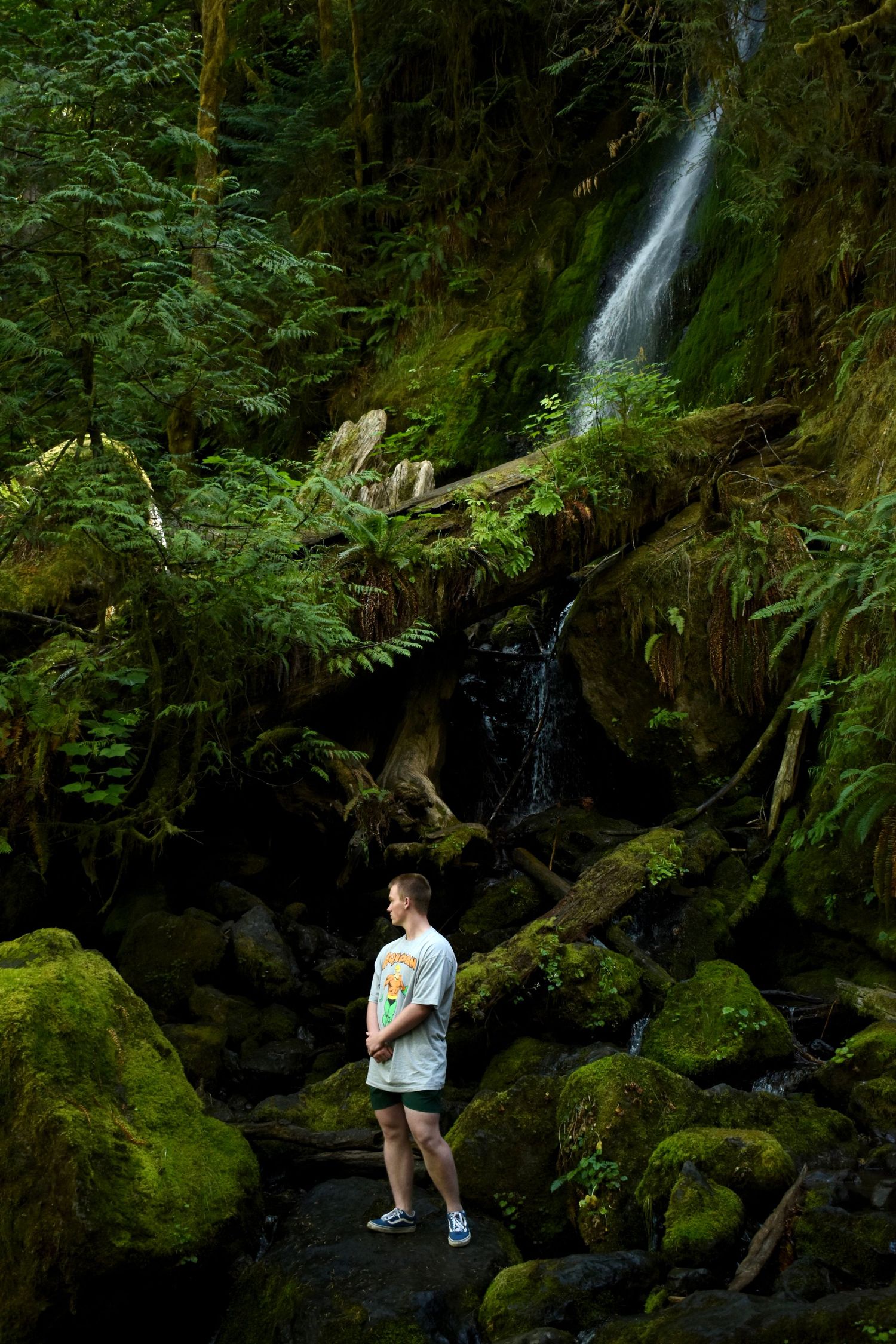 Person standing by mossy waterfall in lush green forest setting.