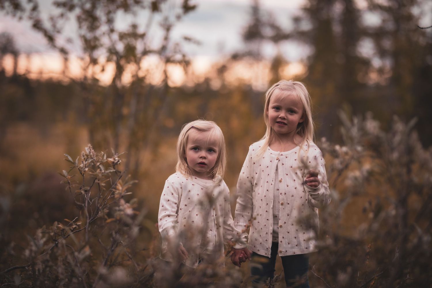 Familjefotografering Gällivare Fotograf Norrbotten