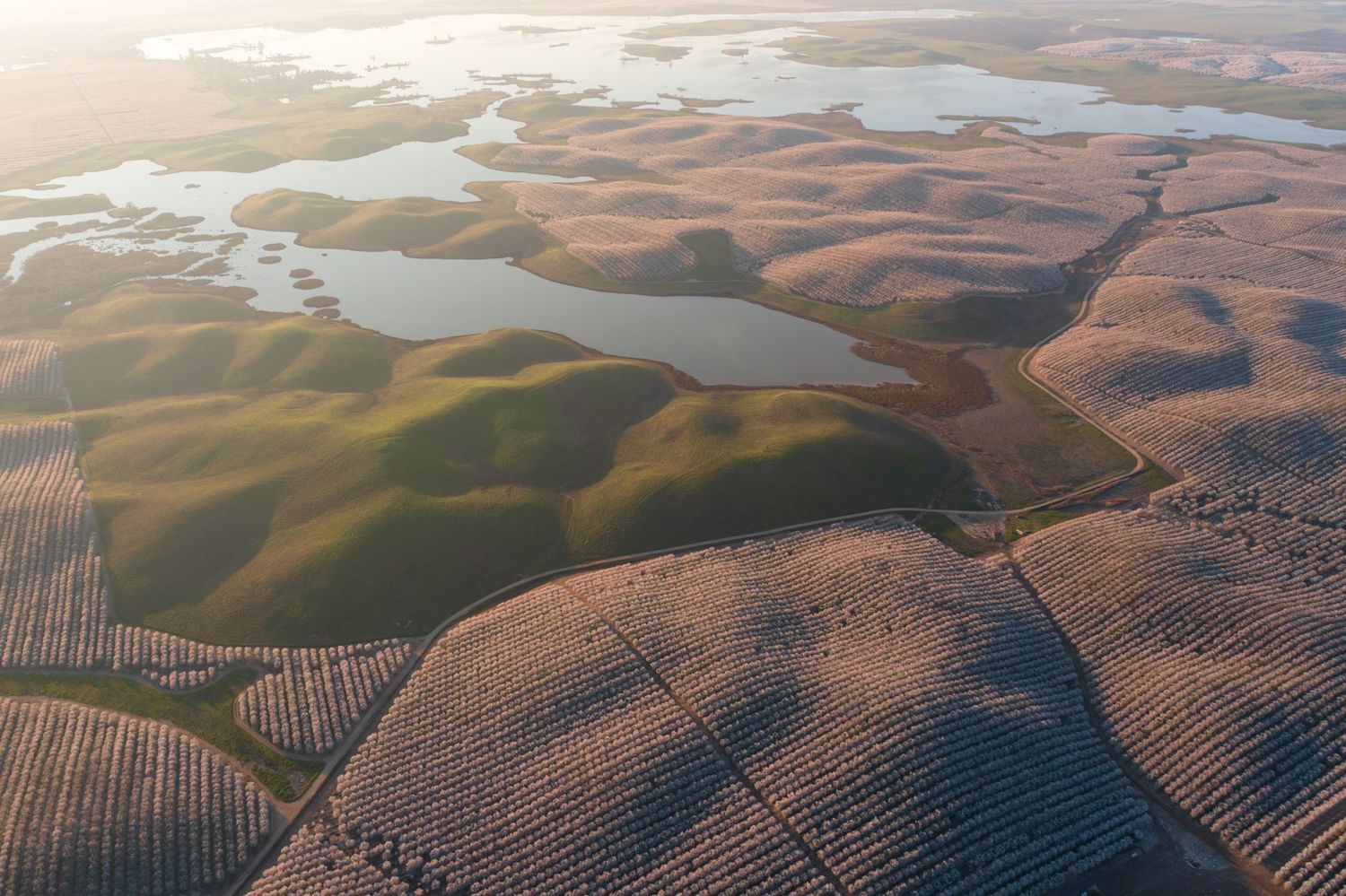 Aerial view of rolling agricultural fields and waterways casting shadows in golden afternoon light.