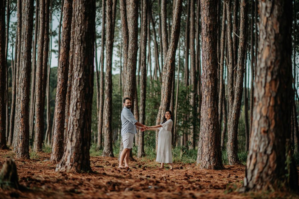 A couple holds hands while walking through a serene pine forest during their maternity photoshoot.