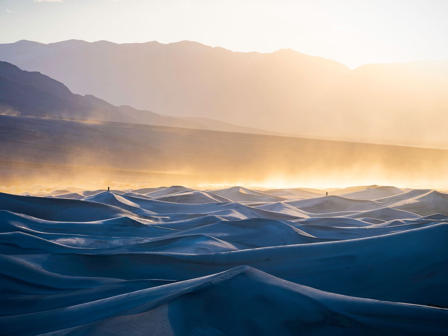Sunlit sand dunes create dramatic shadows across a desert landscape at dusk.