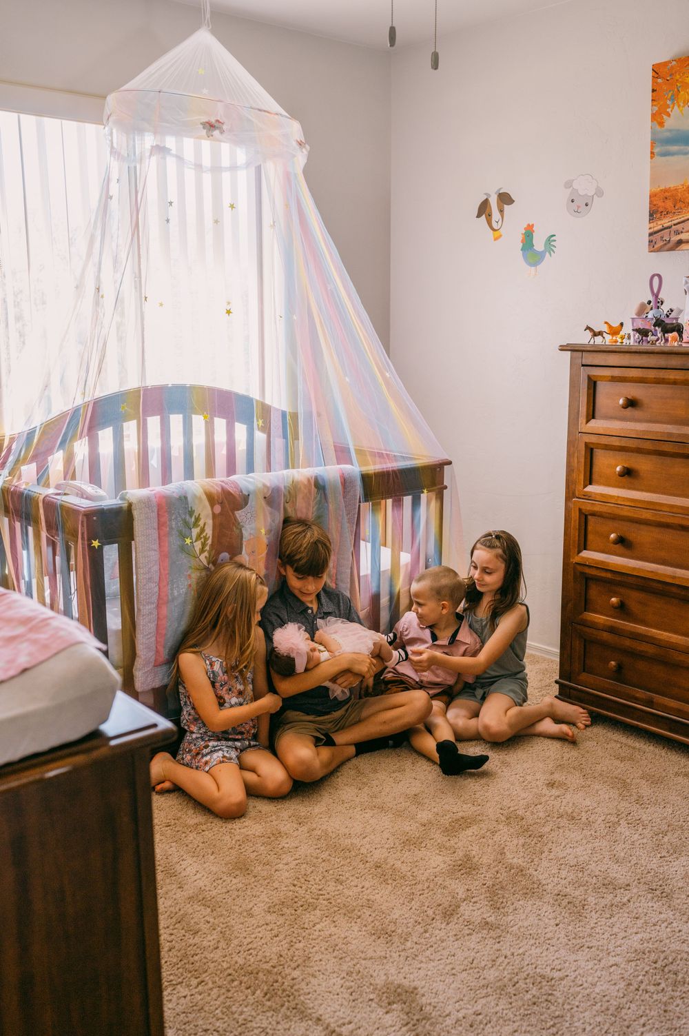 Family gathered on carpet under sheer canopy in nursery room with wooden dresser.