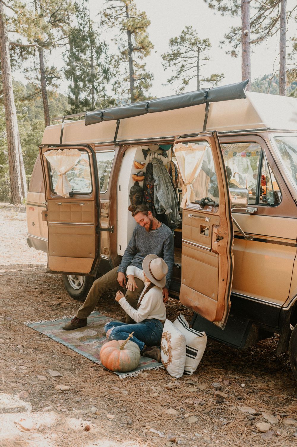A brown vintage van parked in a wooded area with pine trees in the background.