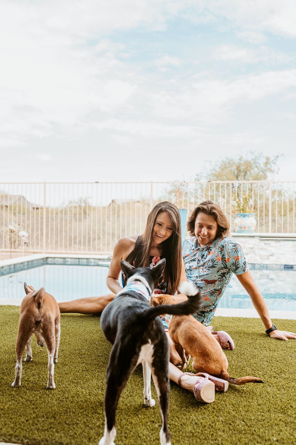 People relaxing on artificial grass by a swimming pool with dogs.