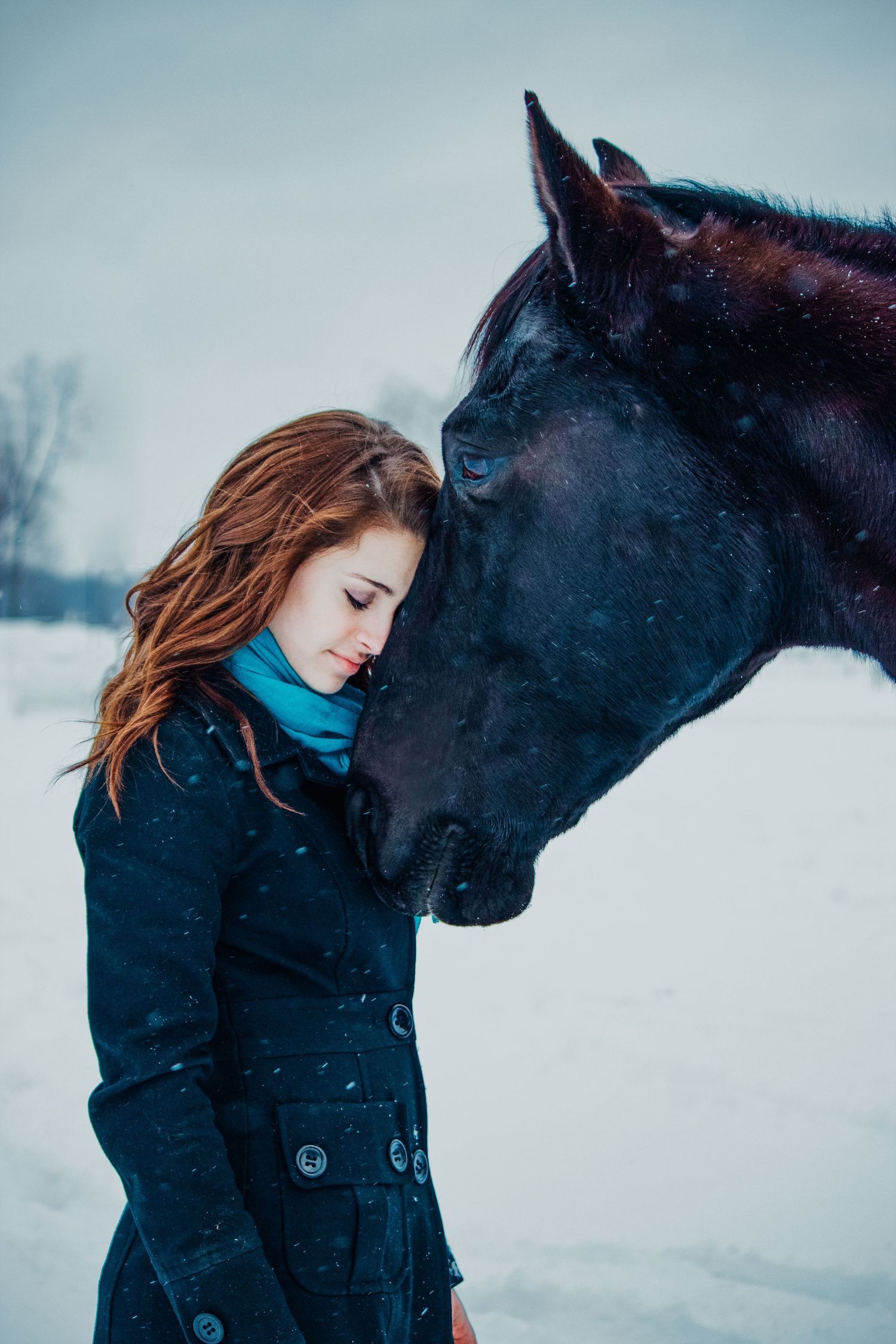 Metro Detroit Pet Photographer captures Young woman in snow leaning head on black horse and crying
