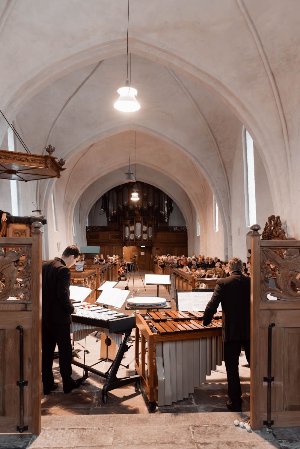 Voorbeeld foto concertregistratie