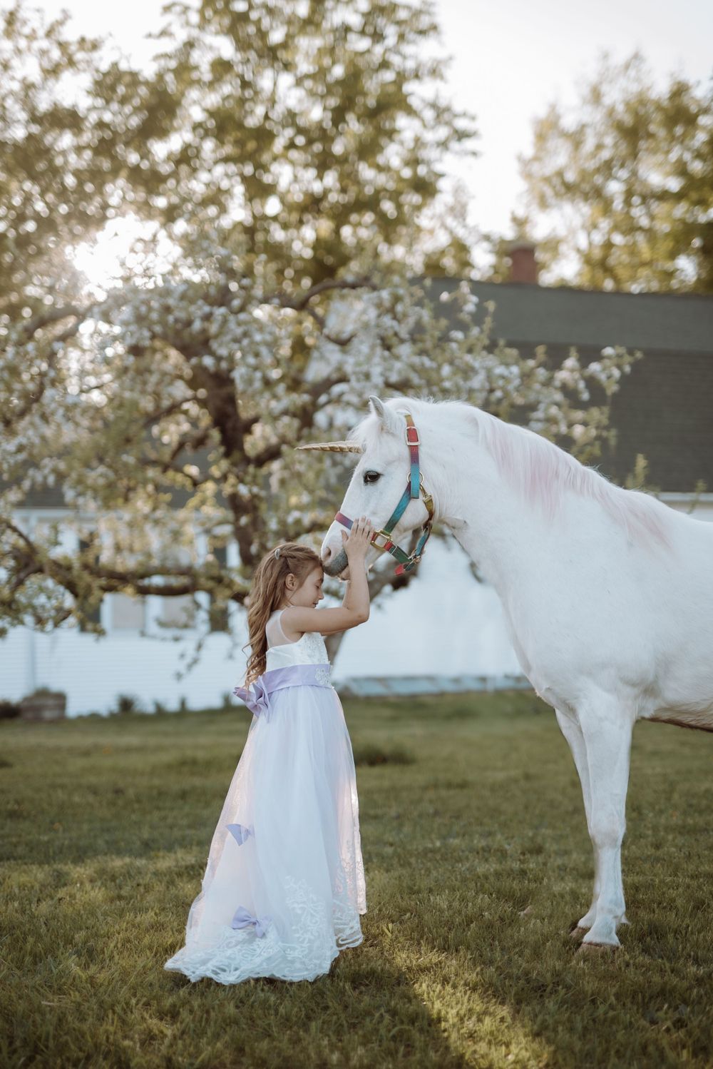 Young child in white dress gently pets beautiful white horse under flowering tree.