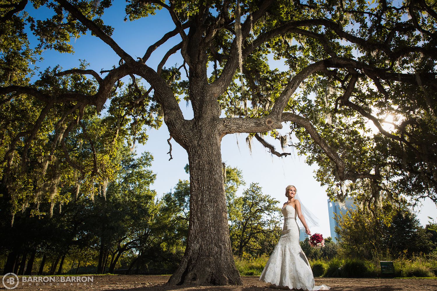 Outdoor bridal portraits under large oak trees with natural sunlight filtering through branches.