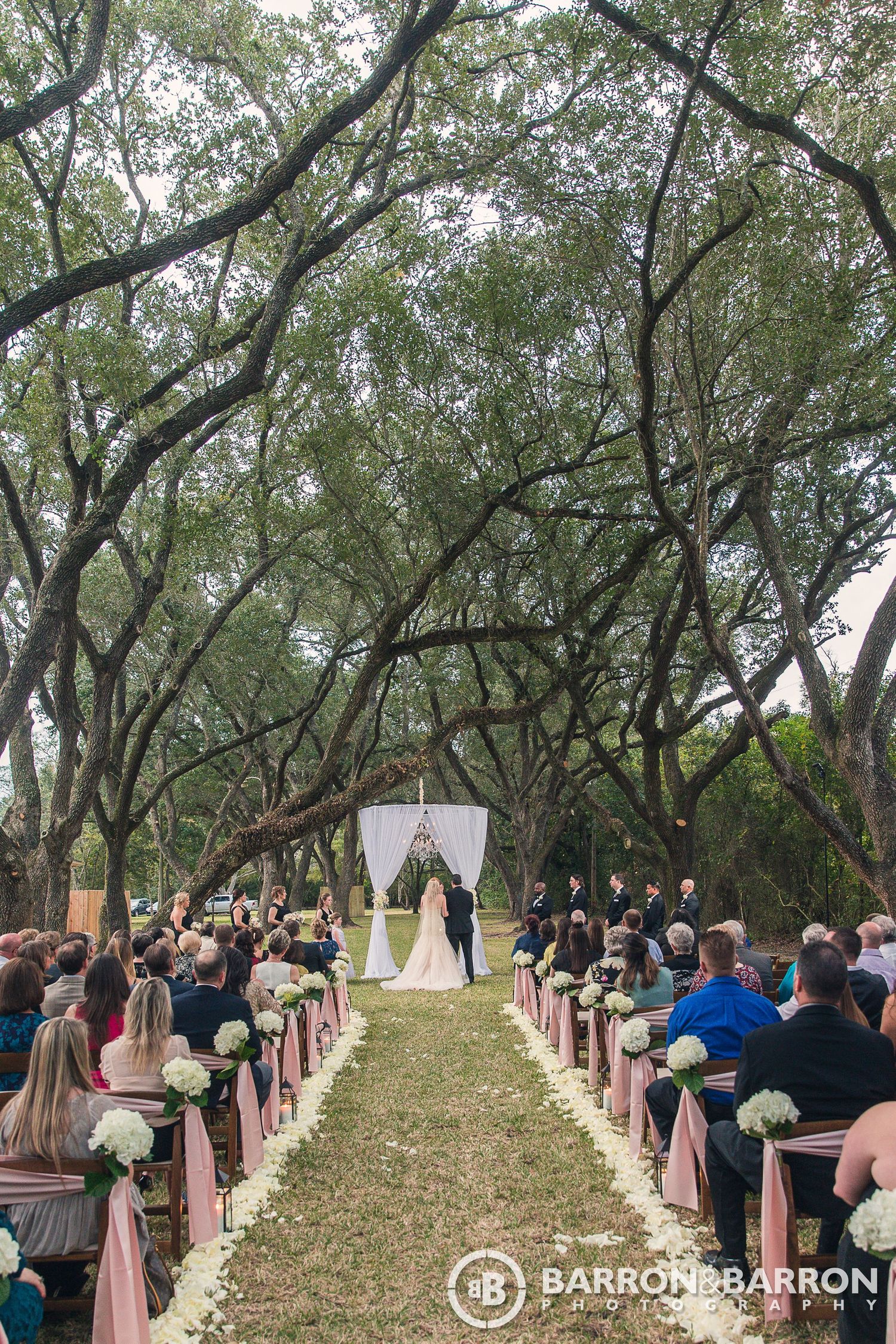 Outdoor wedding ceremony under a canopy of oak trees with pink-draped chairs lining the aisle.