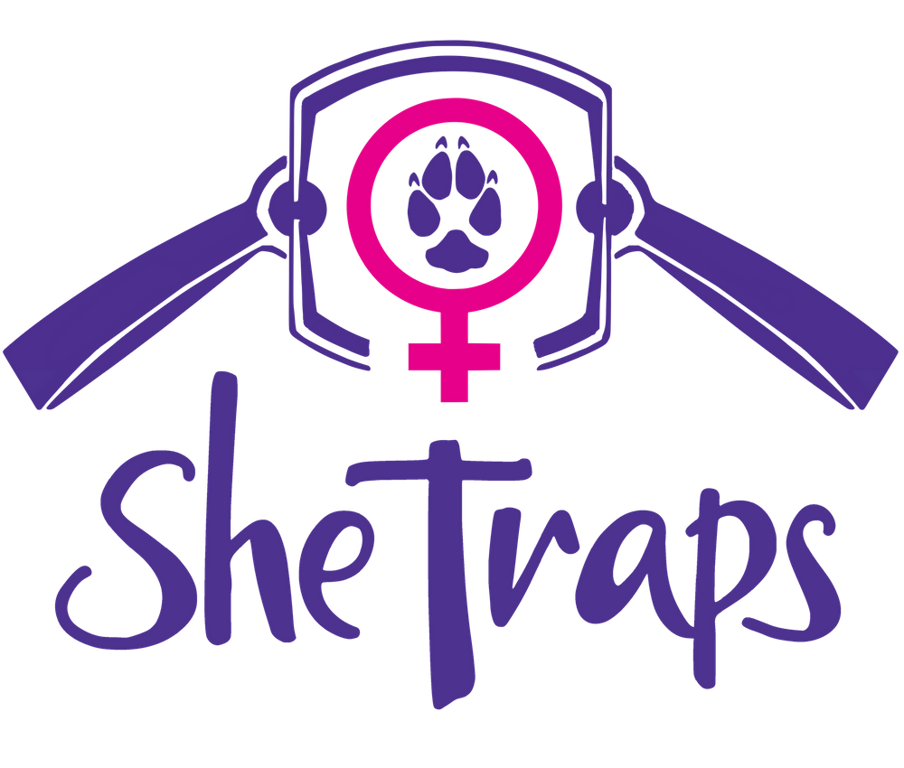 Logo design for 'She Traps' featuring purple headphones and a pink feminine symbol.