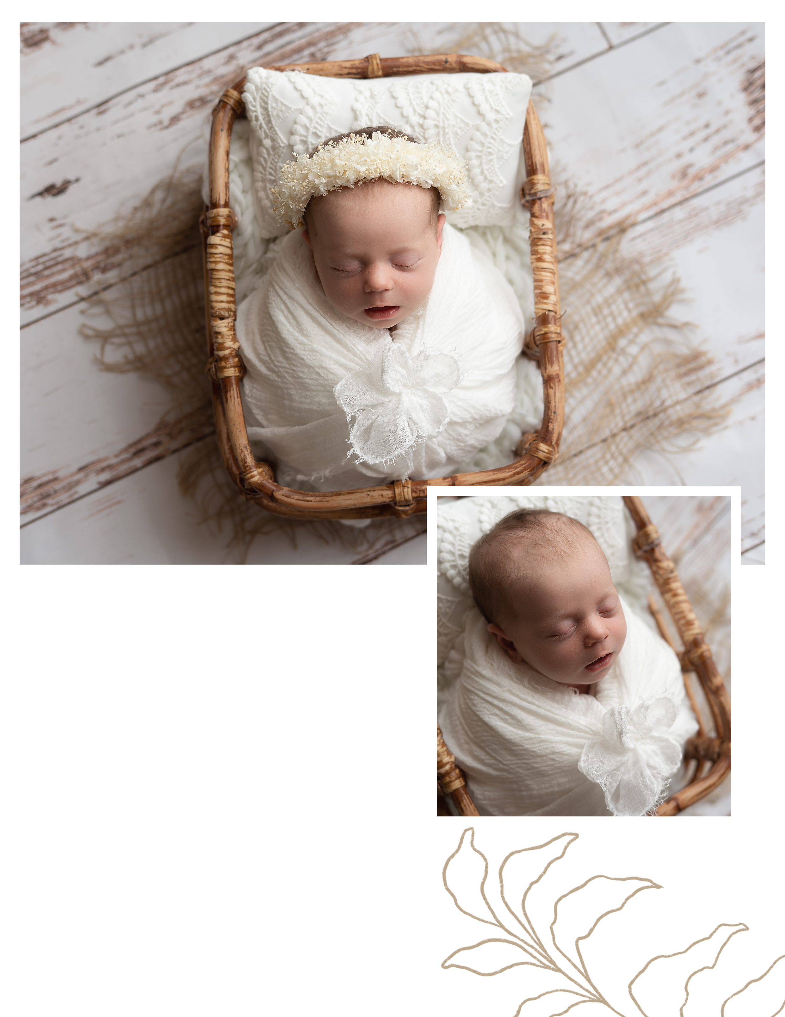 Little Moments Photography Baby Welcome Guide