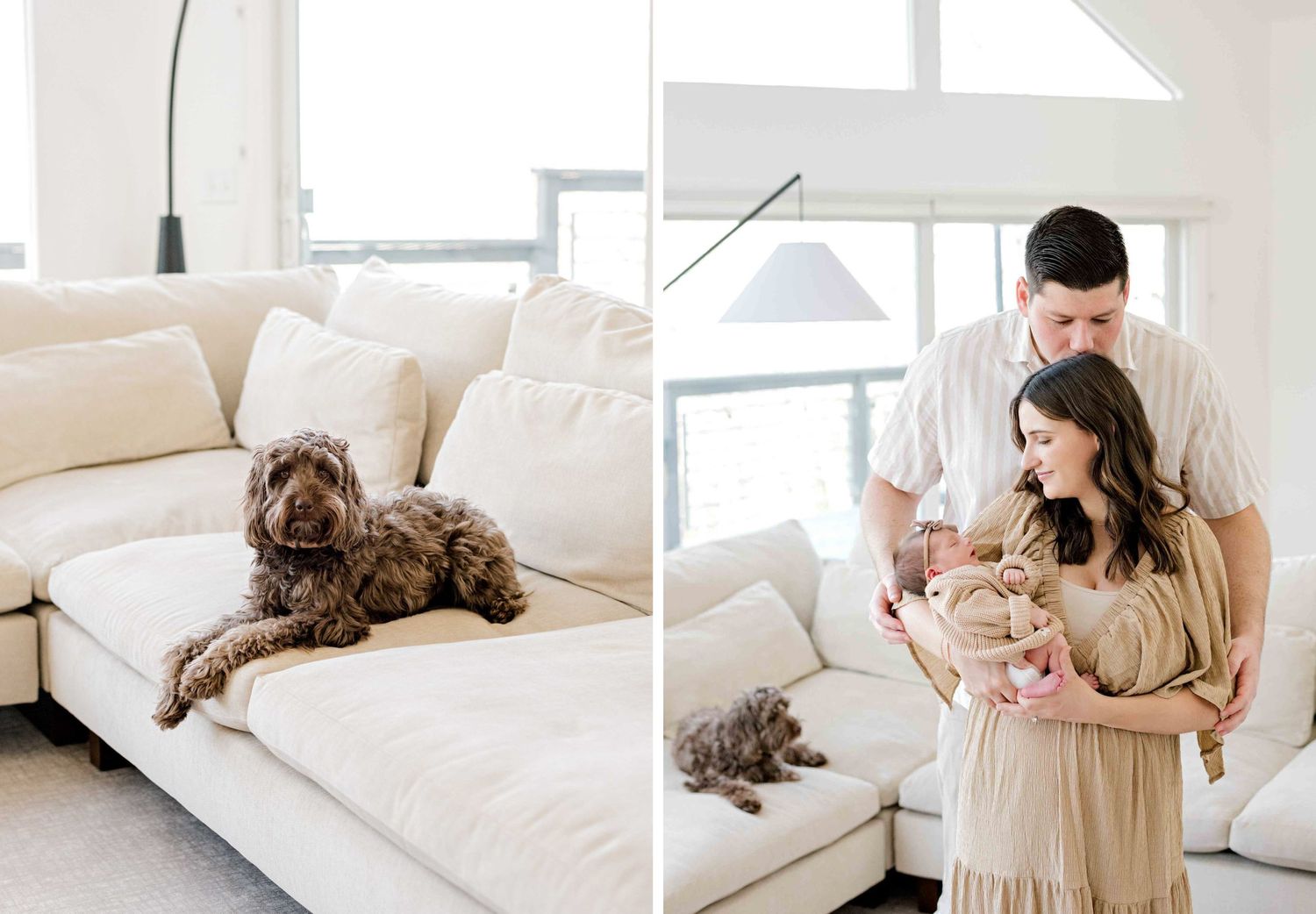 Split image of a brown dog on a couch and a couple with their newborn in a bright living room.