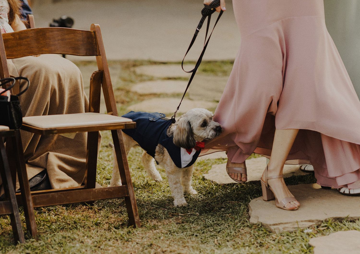 E Noelle Photography backyard wedding in Hidden Hills Los Angeles, bride and groom's dog walking down aisle