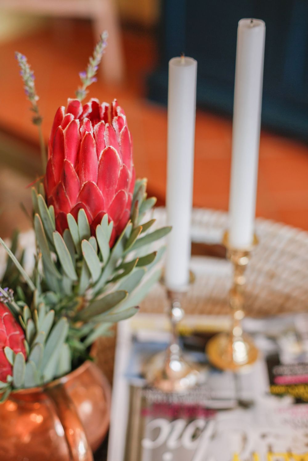 Courtney Dale Photography - Branding & Marketing Photography