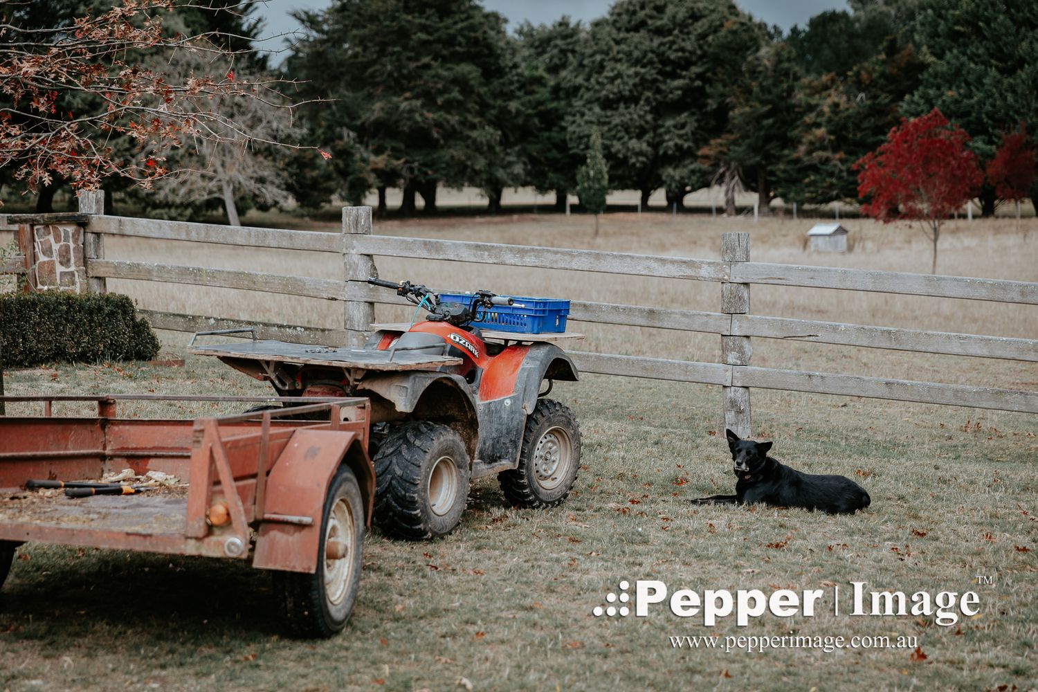 A farm dog rests beside an ATV and trailer near a wooden fence on a green rural property in autumn.