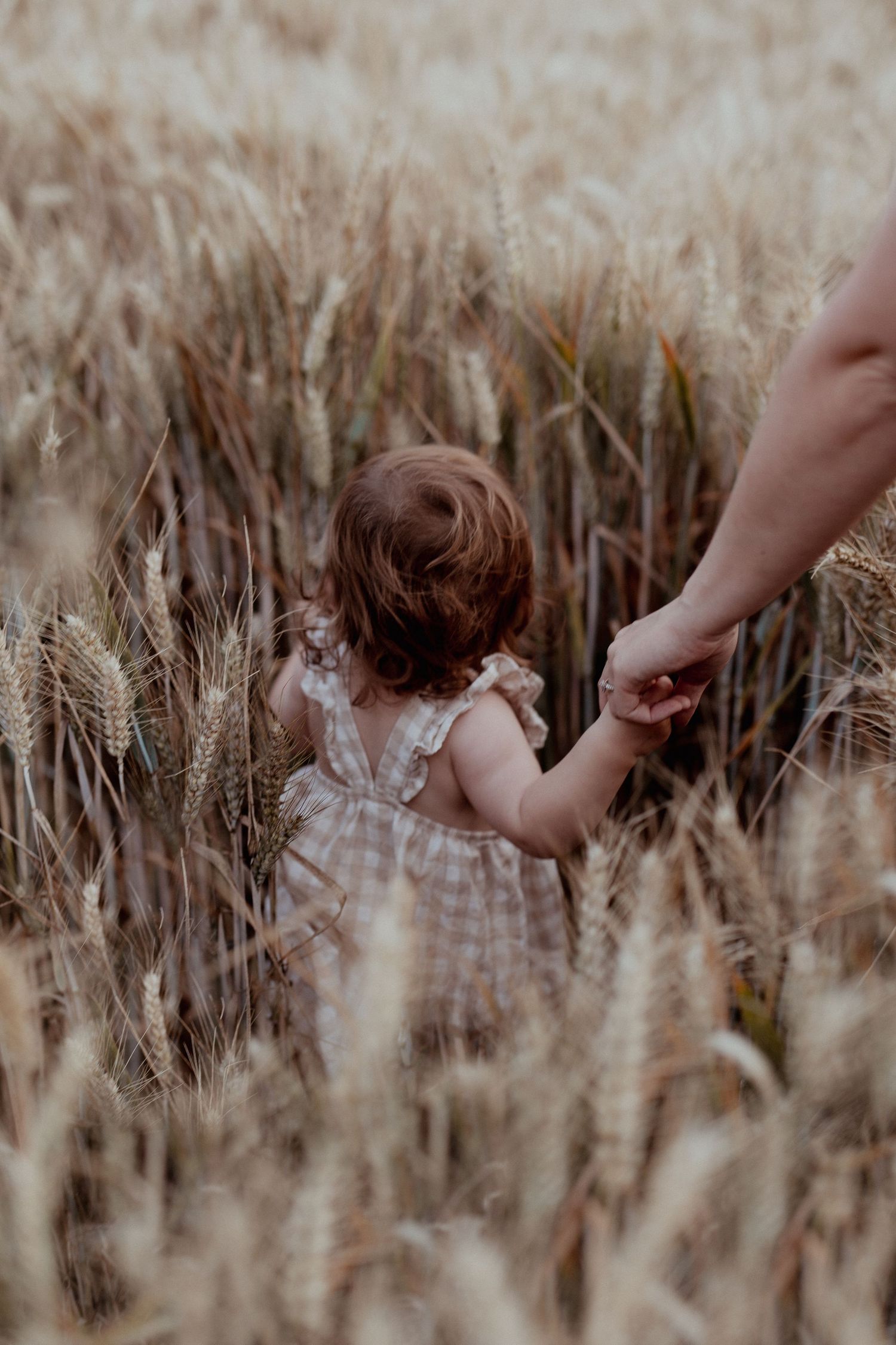 Family Wheat Field Photo Shoot in Oxfordshire