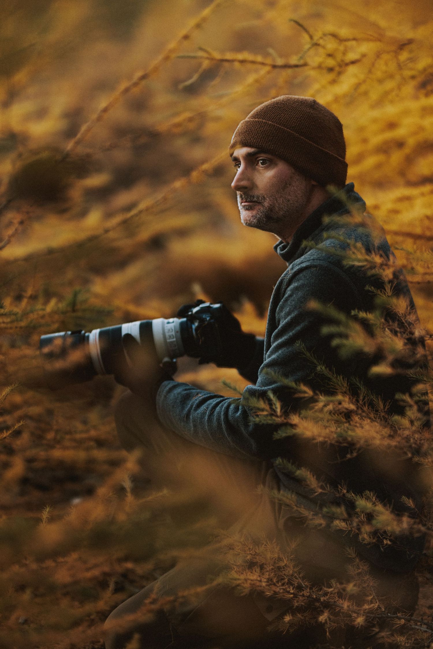 Steeve Levesque photographe animalier sauvage