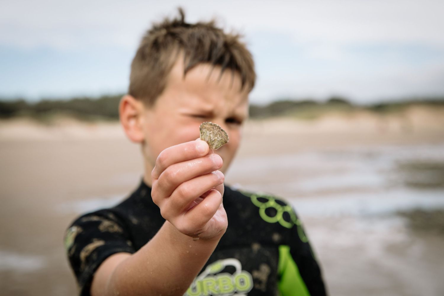 A small seashell treasure discovered at the beach seen in close-up detail.