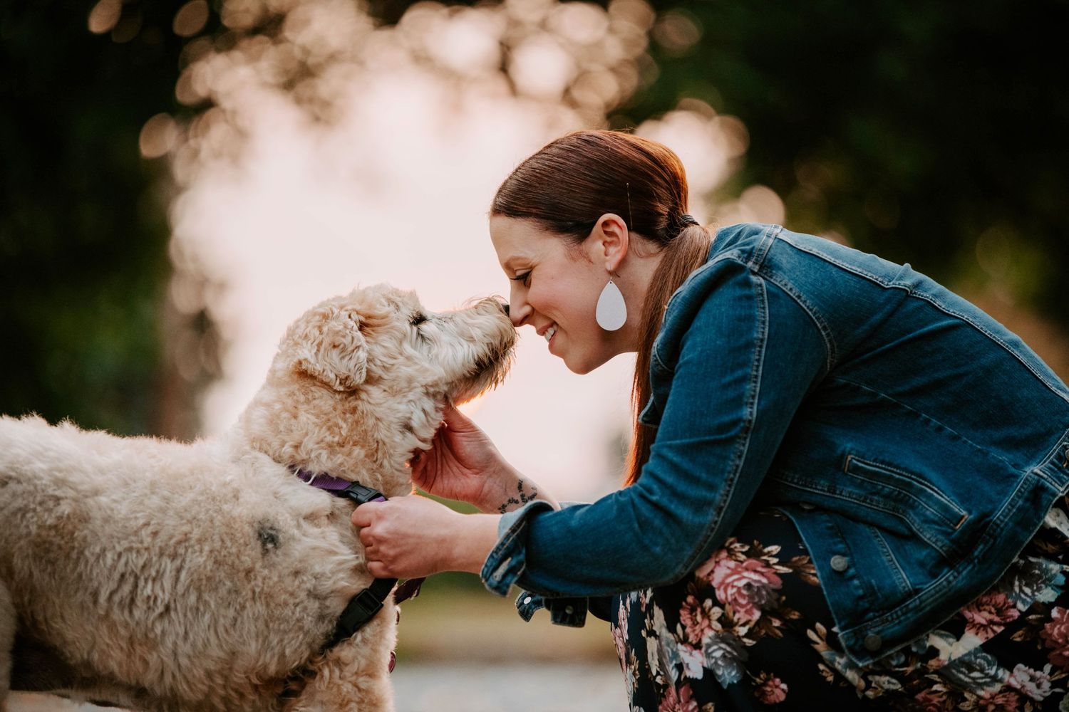 Playful white dog interacting with companion outdoors during golden hour.