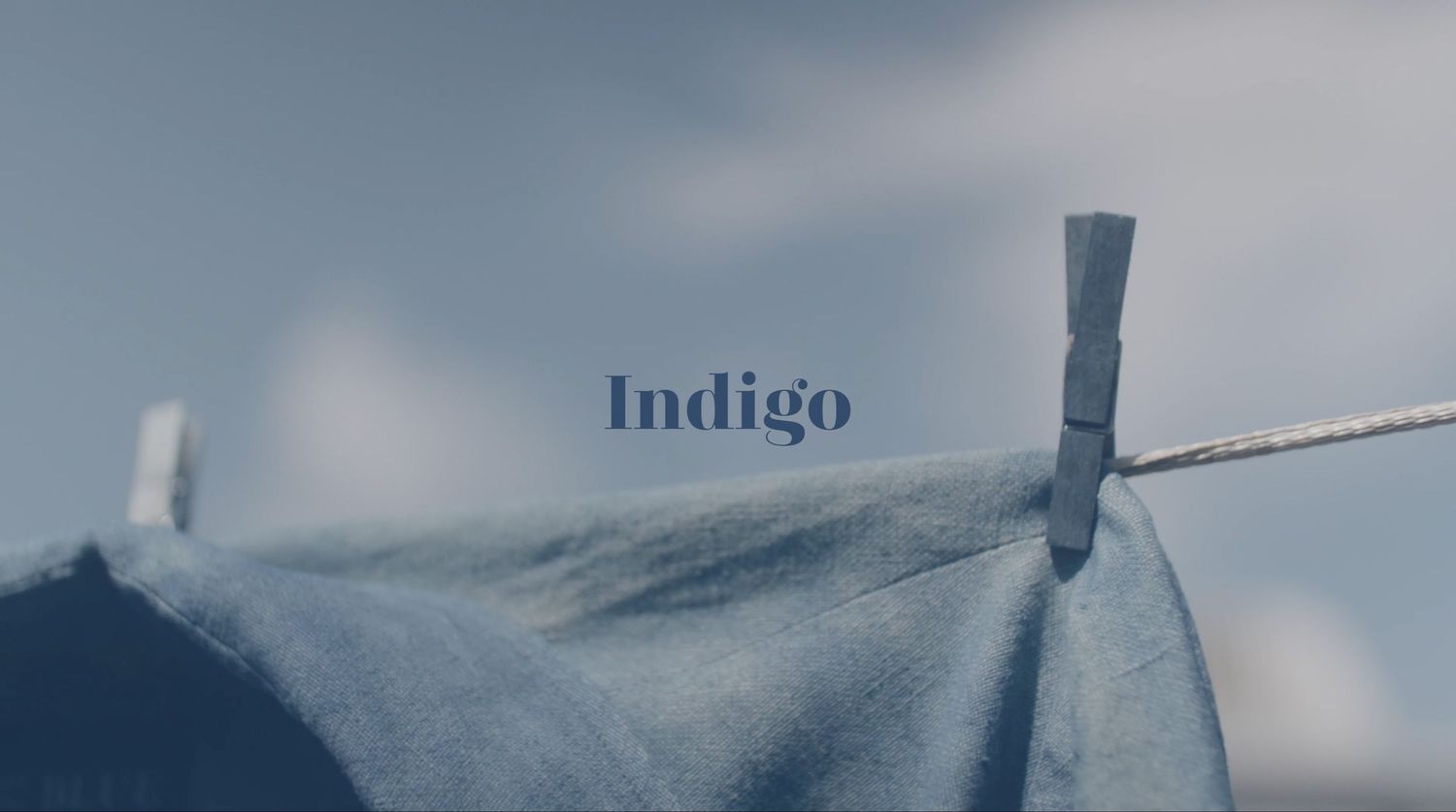 The word 'Indigo' hangs on a clothesline against a cloudy sky background.