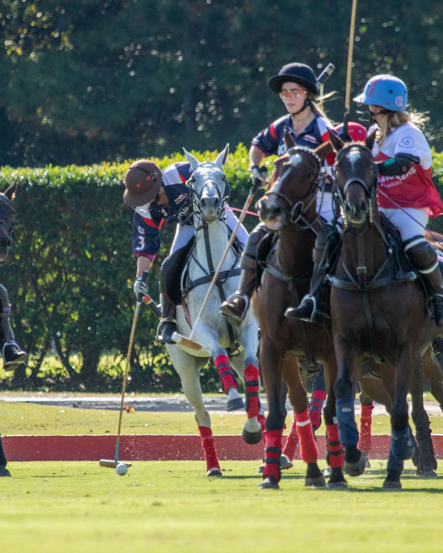 Polo