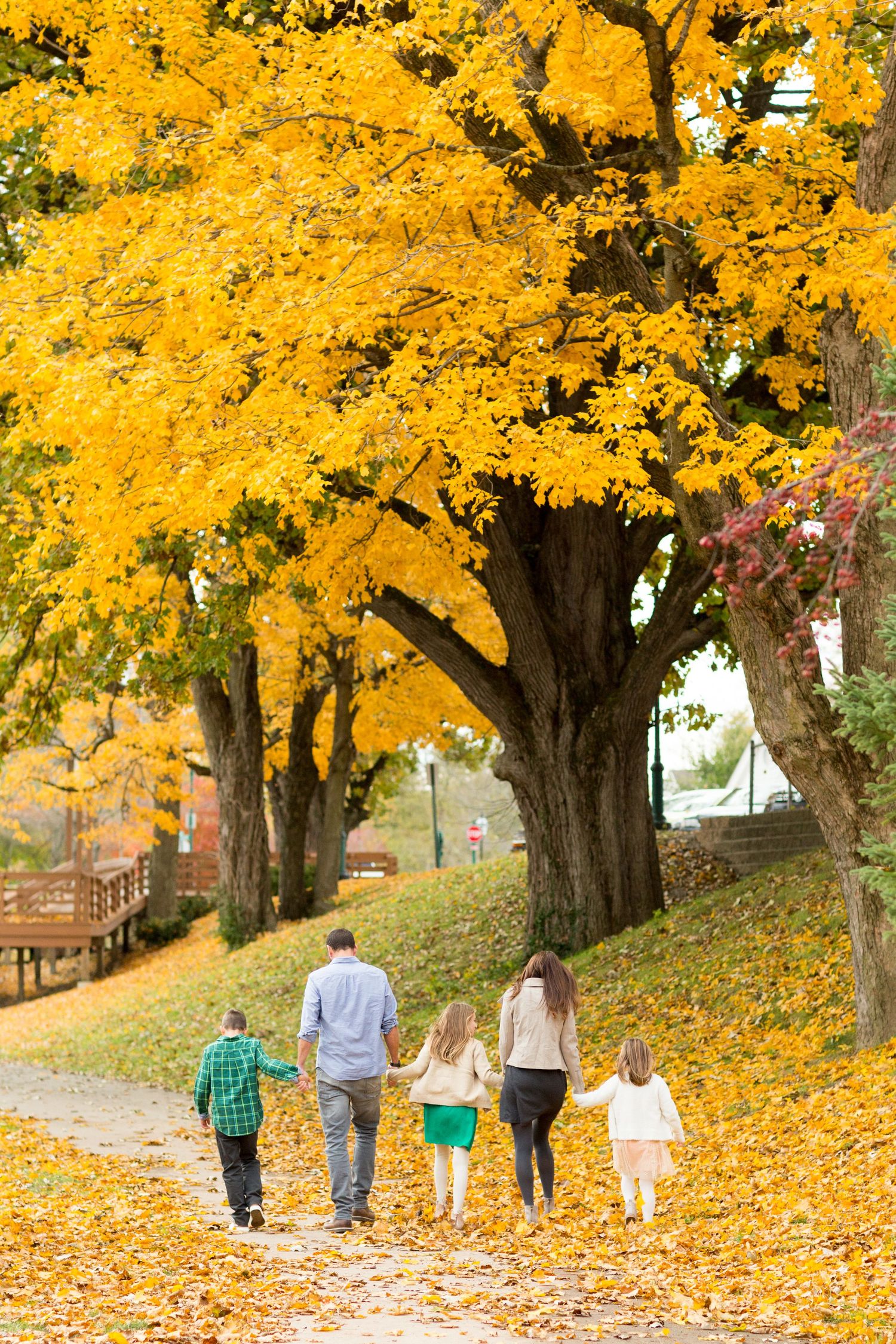 Family pics in Zionsville during the fall
