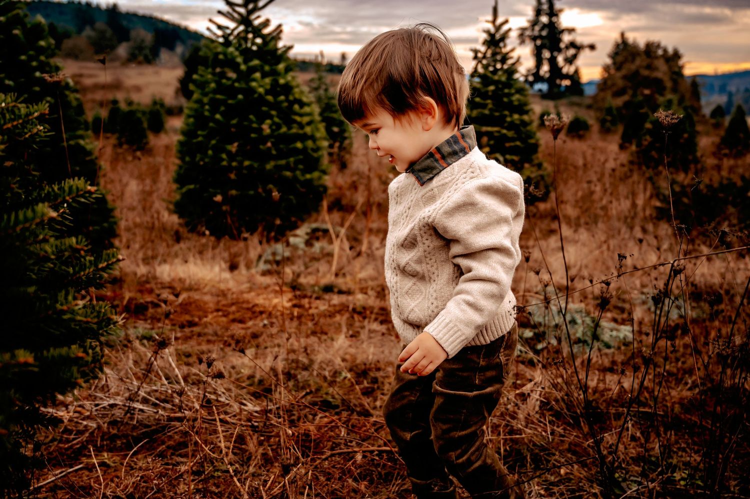 A series of candid moments between parent and child in a natural outdoor setting.
