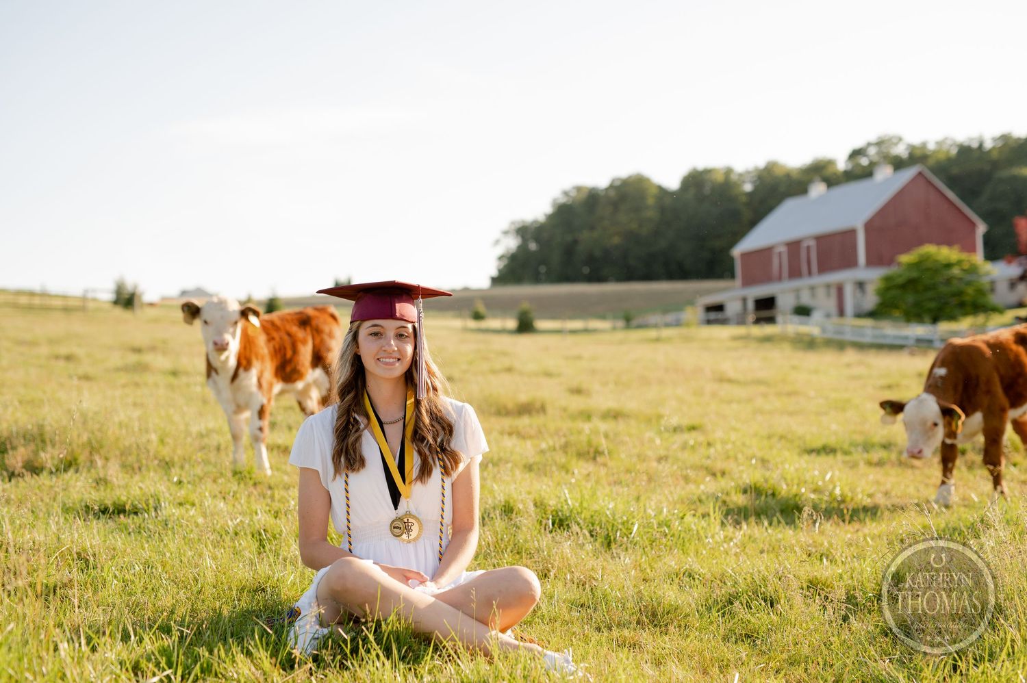 Graduate in white dress and burgundy cap sits in pastoral field with grazing cattle.