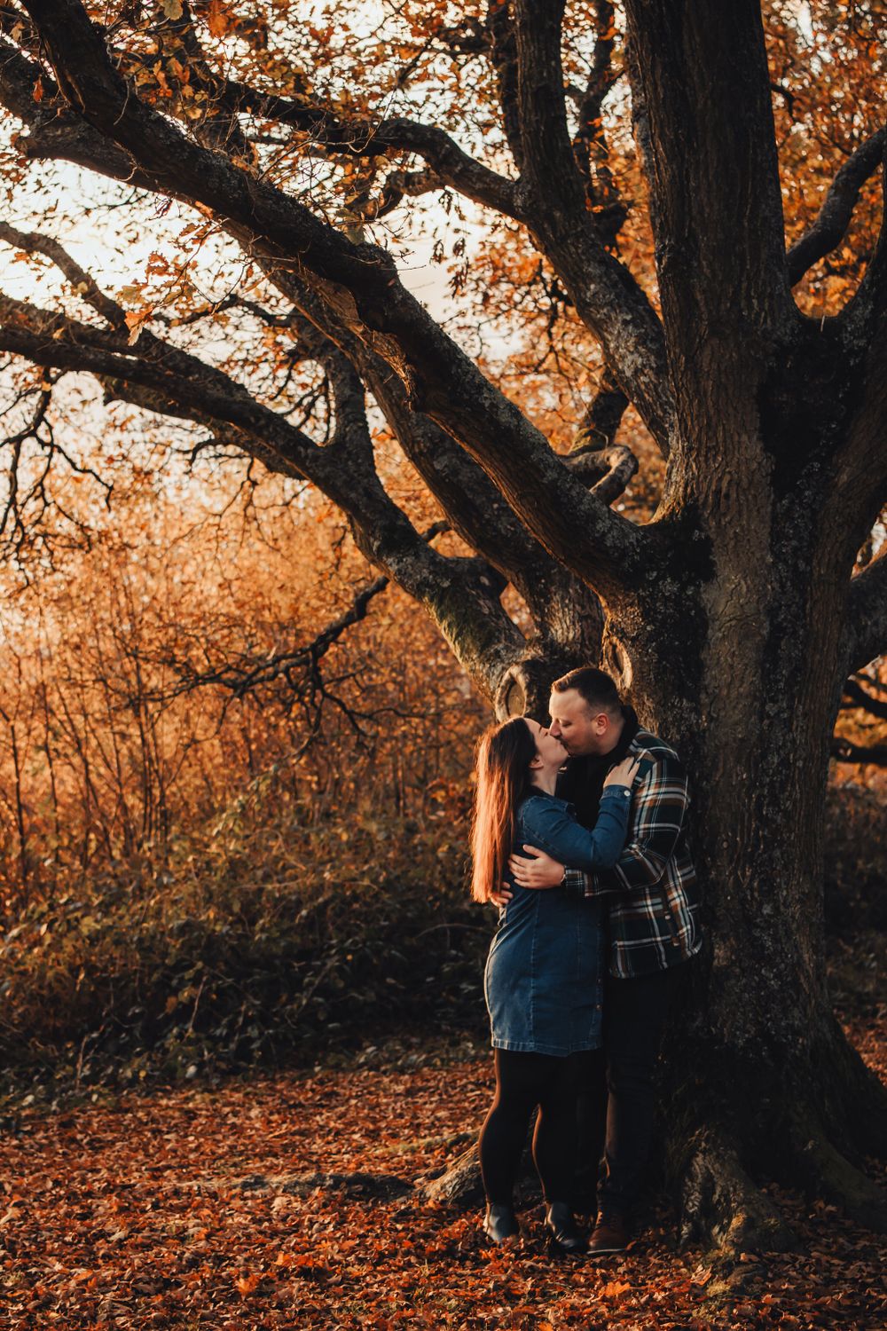 A couple embraces beneath a large tree with golden autumn foliage on a warm-toned fall afternoon.