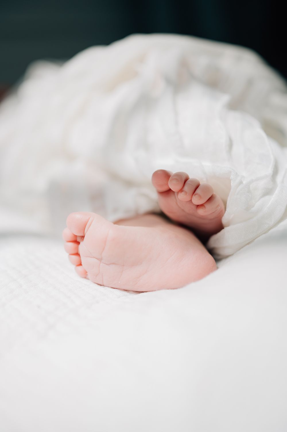 Close-up of tiny baby feet peeking out from white bedding.