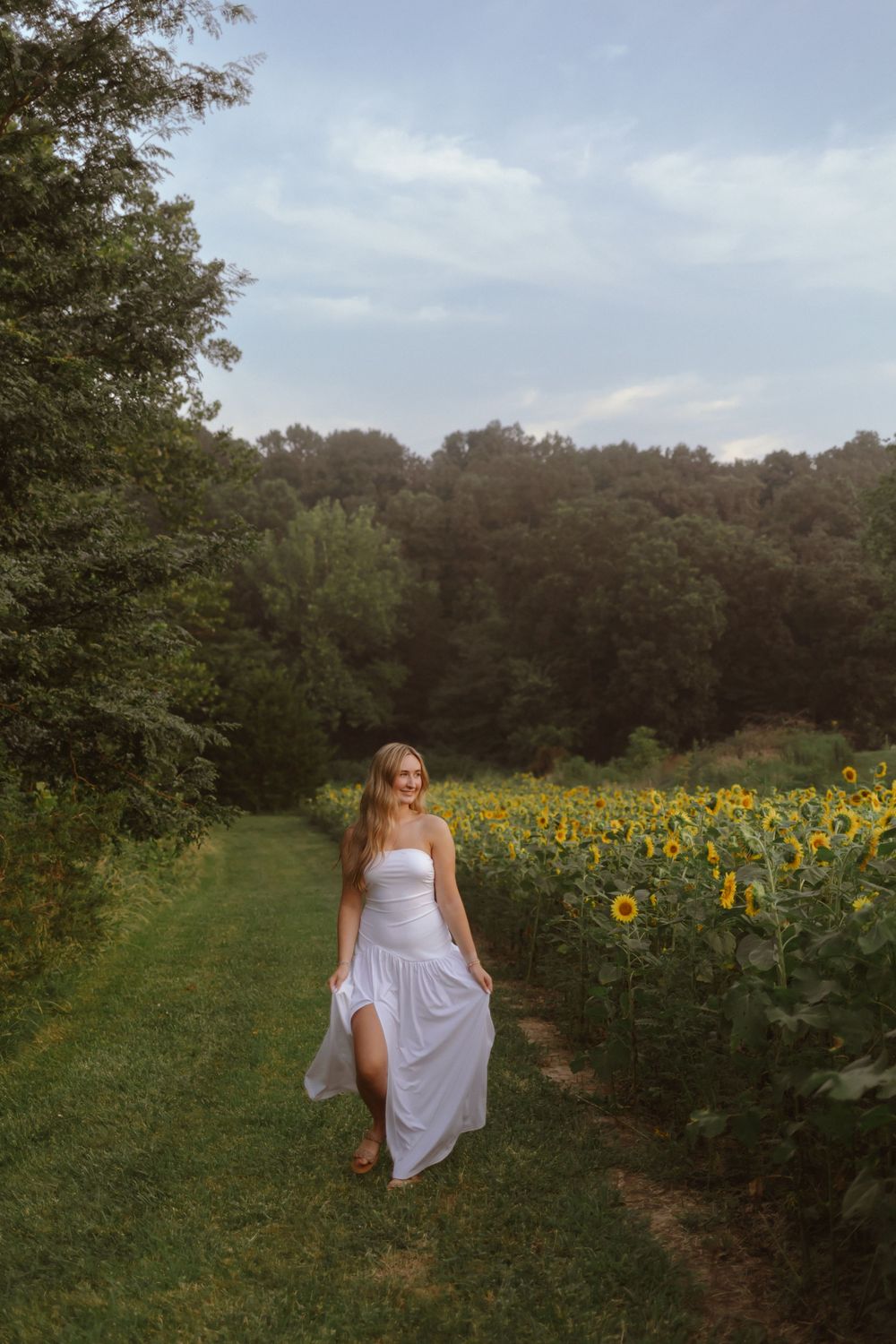 A white dress flows gracefully along a grassy path bordered by tall, vibrant sunflowers on a summer evening.