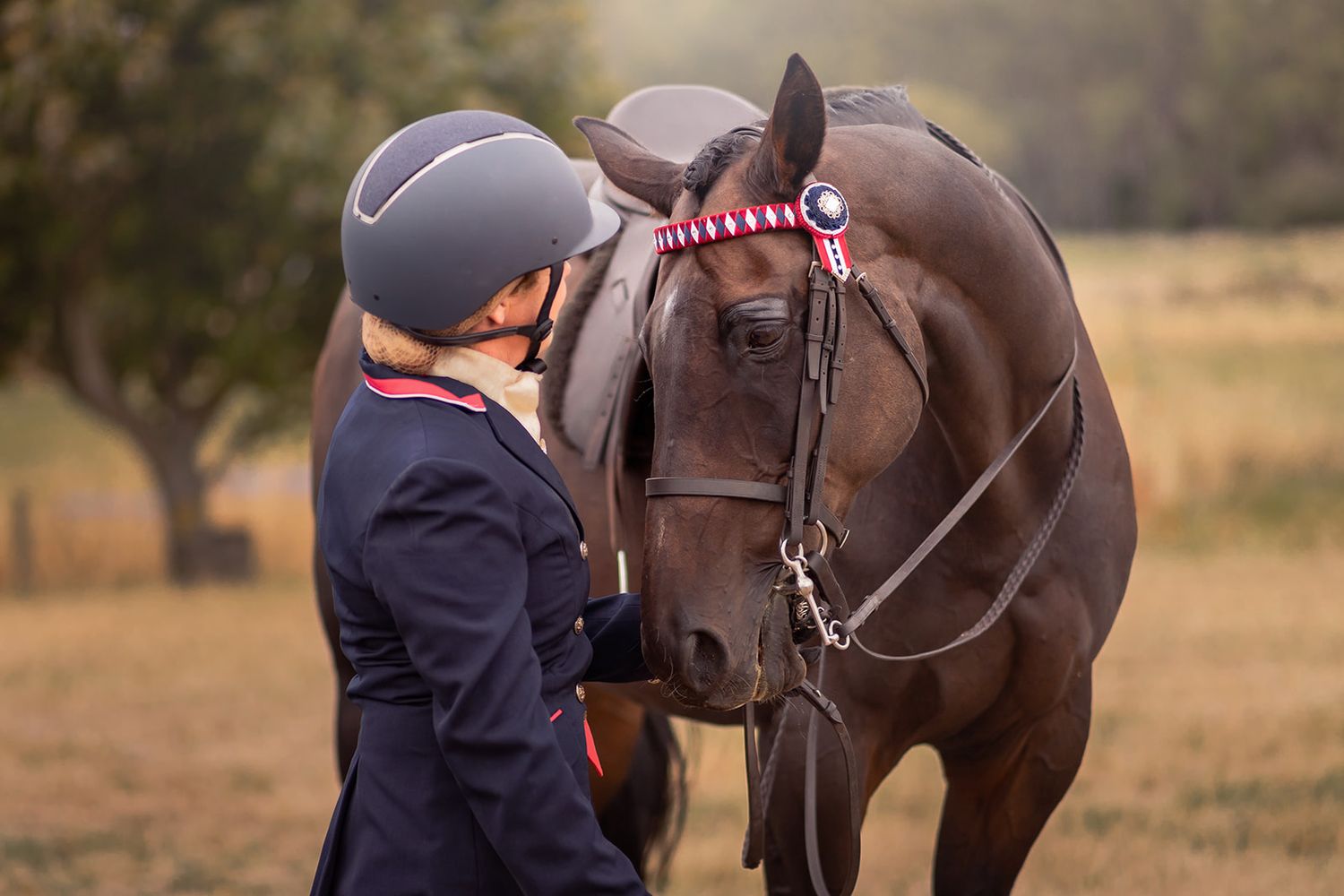 Horse and owner