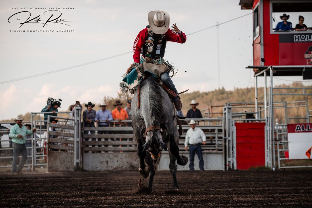 Red Deer Saddle Bronc Ride