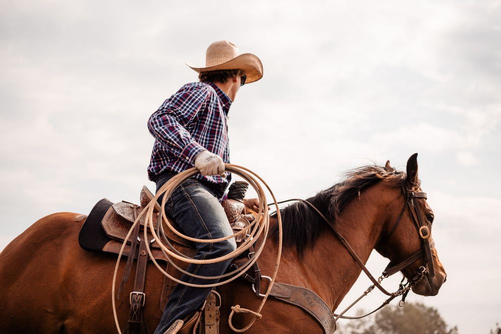 Cowboy riding a brown horse while holding a lasso rope at a rodeo event.