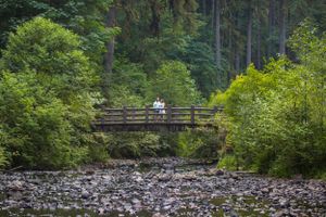 Two people stand on a wooden footbridge over a rocky stream in a lush forest.