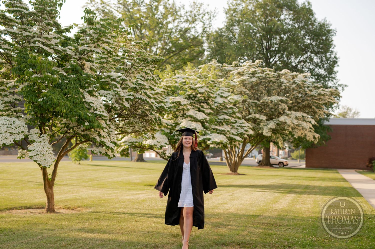 Graduate in black cap and gown walks under blooming dogwood trees on a sunny spring day.