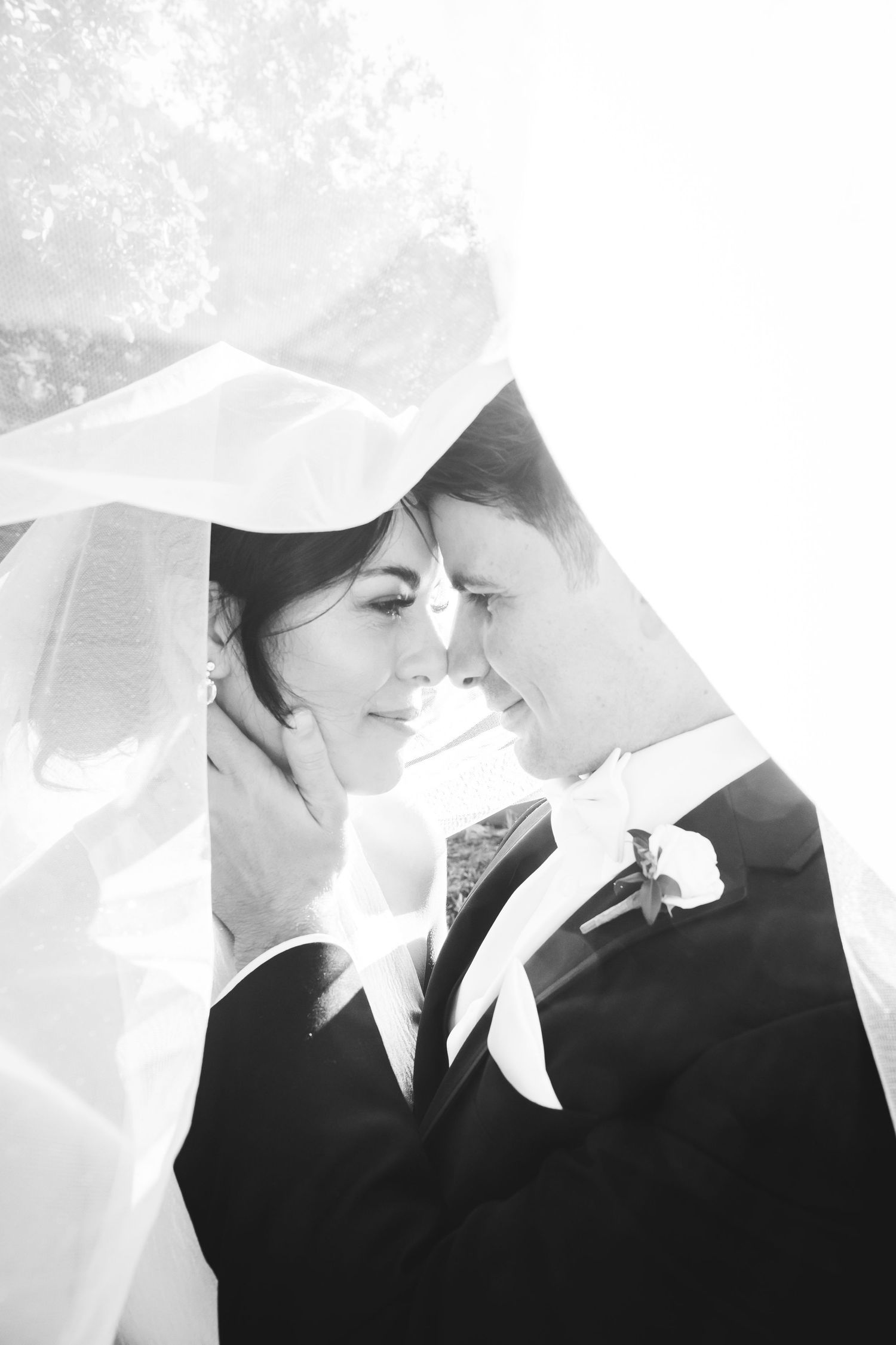 Black and white romantic portrait of newlyweds under flowing veil.