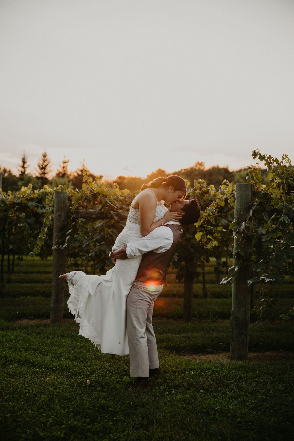 Sunset wedding photoshoot in a vineyard with golden light streaming through the vines.